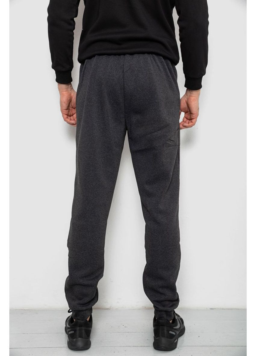 Спортивні штани чоловічі на флісі Sport Line (367262065)