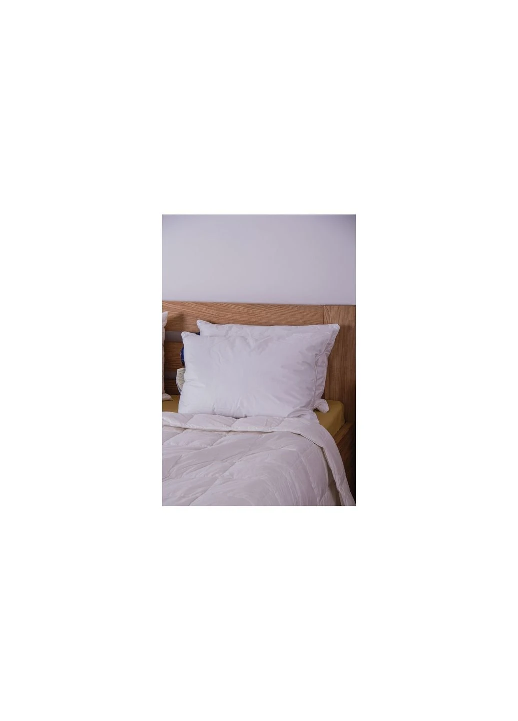 Подушка 308 Ambiente 50x70 см (51903277) Billerbeck 308 Ambiente 50x70 см (379322630)