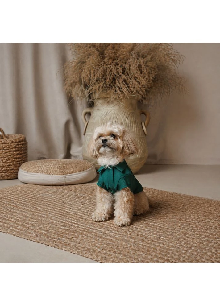 Рубашка для собак Seaman зелёная размер M Pet Fashion (395729916)