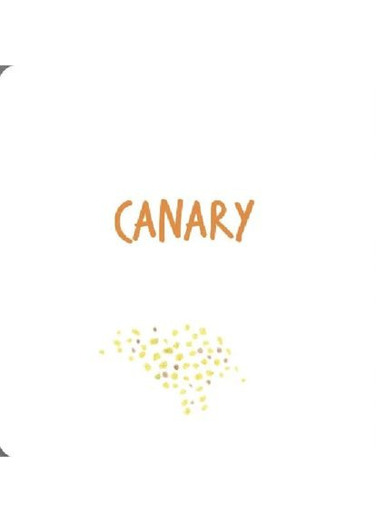 Pets Артбукс (370067663)