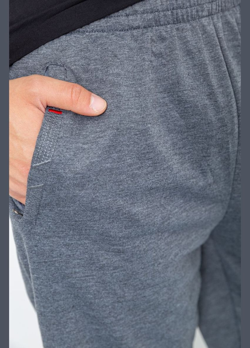 Серые спортивные демисезонные брюки Ager