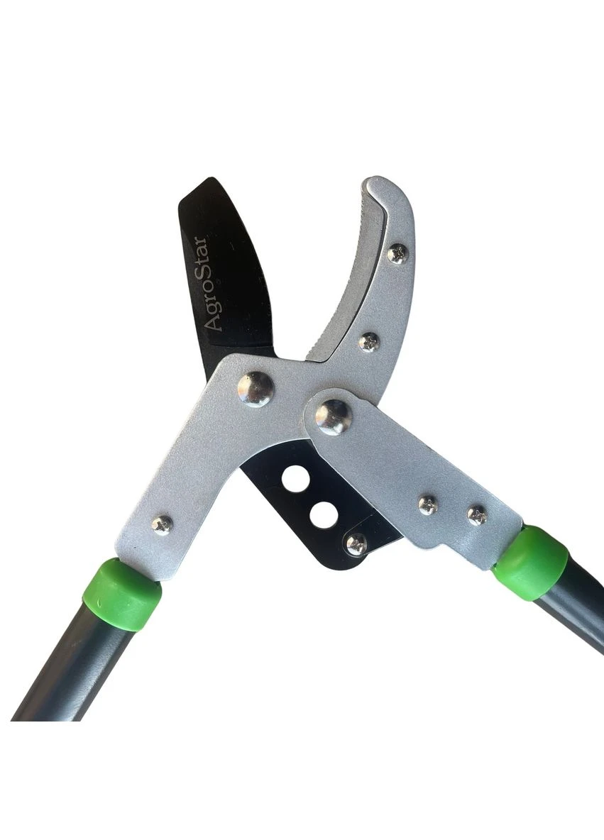 Сучкоріз ""мод.095 AgroStar (396555755)