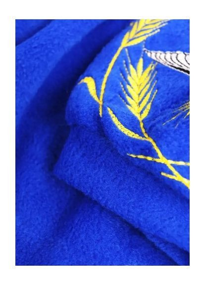 Синее вышитое флисовое платье детское электрик лилия No Brand (370022239)