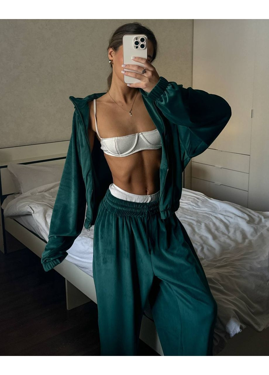 Костюм велюровый DK/DL Мода без кордонів (351850154)