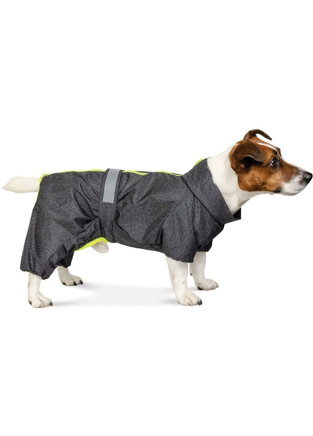 Комбинезон RAIN M2 Cерый (4823082425921) Pet Fashion (318101043)