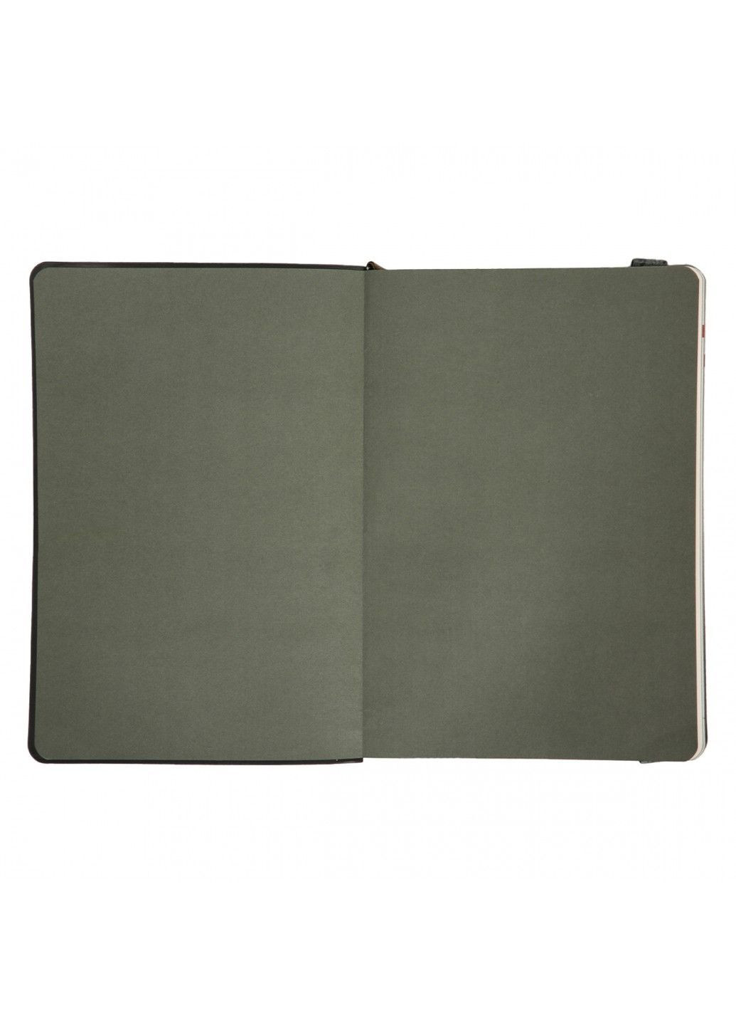 Ежедневник датированный 2026год А5 мягкий 368 страниц Polo .графитовый 252694 Leo Planner (364302779)