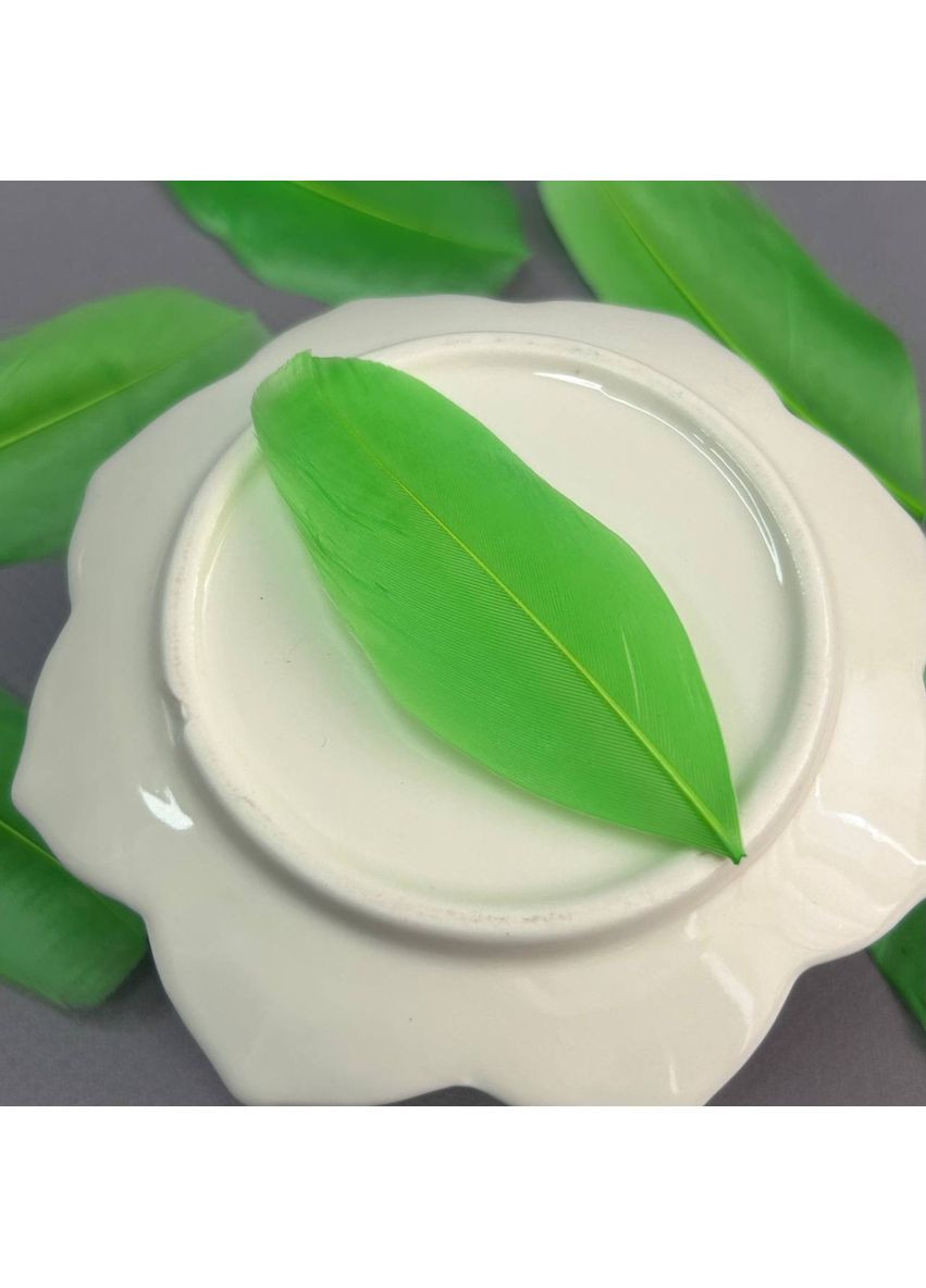 Пір'я гусячі для рукоділля 5-7 см, ∼50шт - салатовий Plus-plus (354796912)