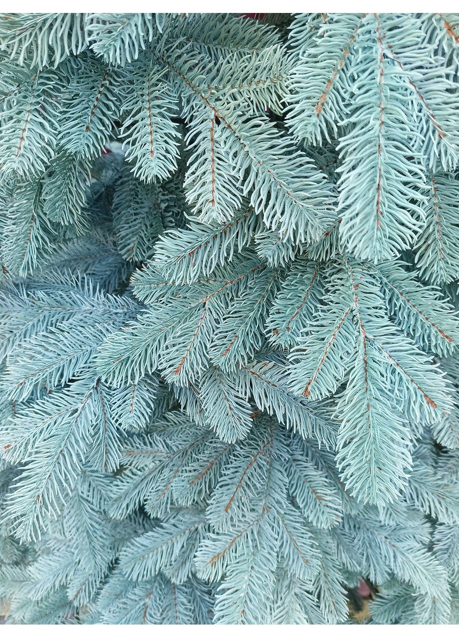 Ёлка искусственная литая SGX Элитная 3.00 м. голубая Yalynkar (366964289)