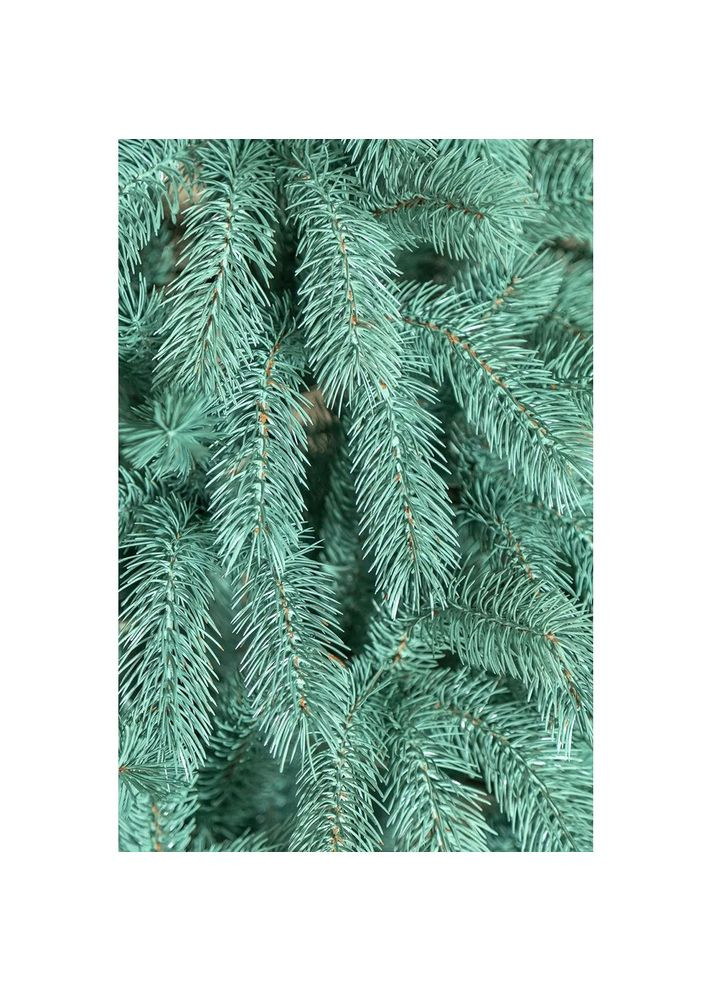 Новогодняя елка искусственная литая Bukovel 250 см Голубая 4829221110253 Siga Group (317307837)