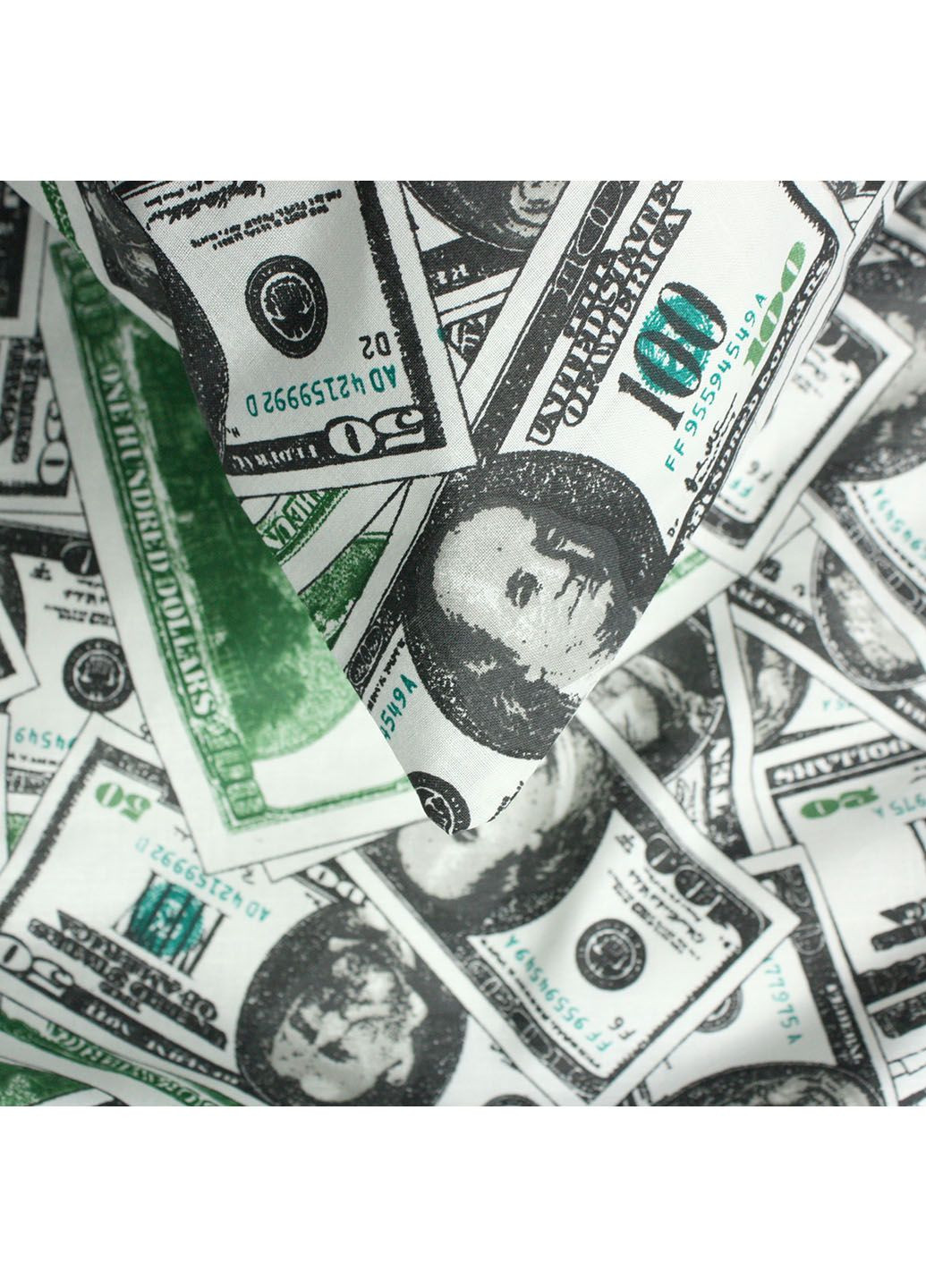 Пододеяльник З0099 (200х220) Еней-Плюс (316318038)