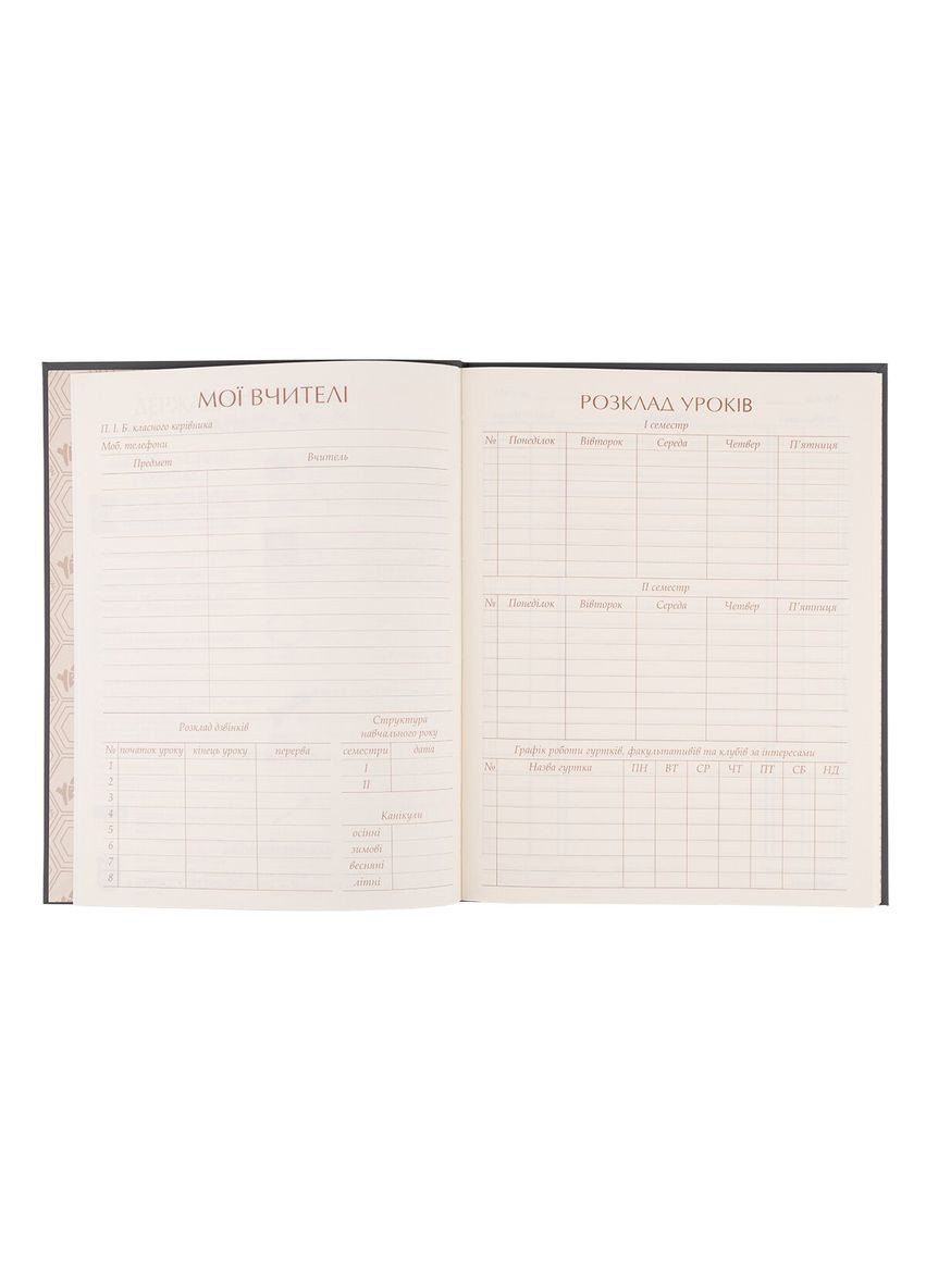 Дневник школьный интегральный Lazy cat 911564 shop (5056574440303) Yes (354936002)