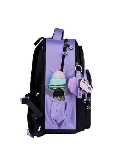 Рюкзак школьный Pusheen Shiny S-91 полукаркасный (559816) Yes Pusheen Shiny S-91 напівкаркасний (366646555)