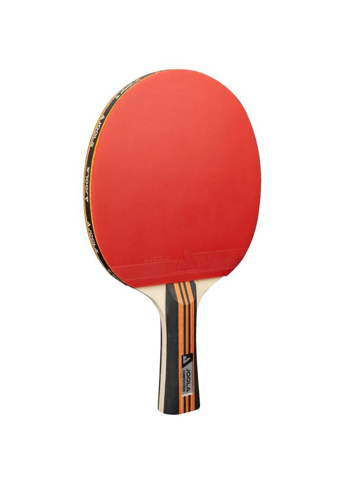 Набор для настольного тенниса Family Advanced 4 Bats 6 Balls (54823) Joola (323087769)