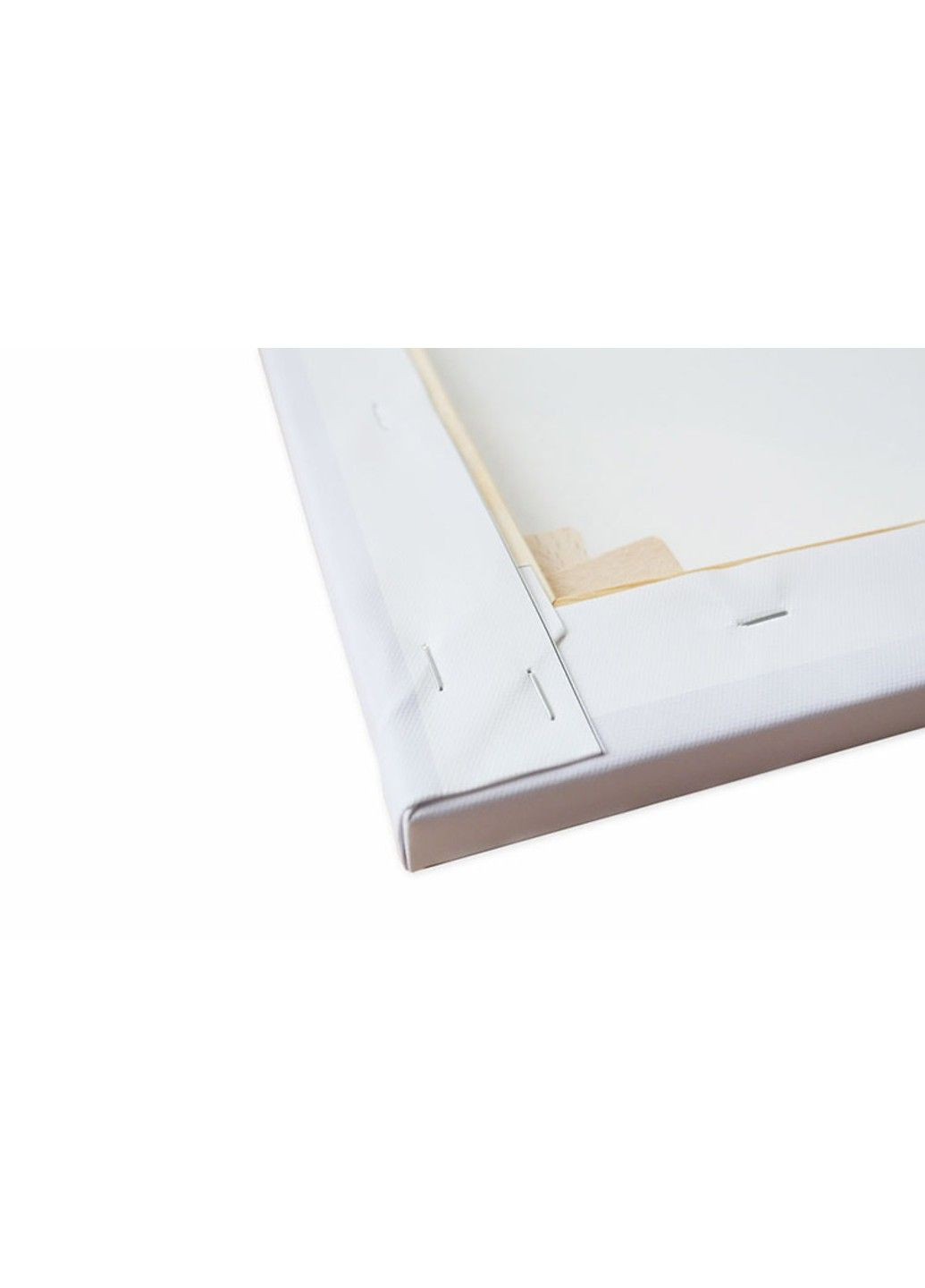 Картина на полотні Незламна No Brand (324106244)