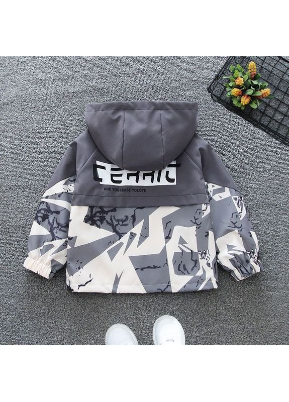 Сіра демісезонна вітровка No Brand