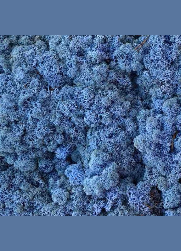 Очищенный стабилизированный мох ягель Лавандовый 150 грамм Nordic moss (276401189)