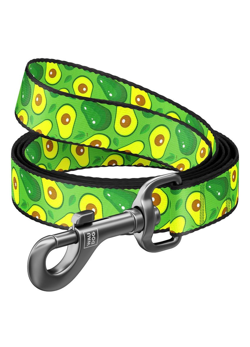 Поводок для собак нейлоновый, рисунок "Авокадо", размер M (20 мм), длина 122 см. Collar (367184968)