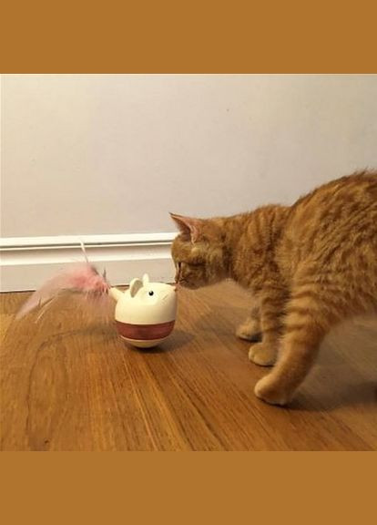 Іграшка інтерактивна для кішок Миша (no69587) Nina Ottosson (315492630)