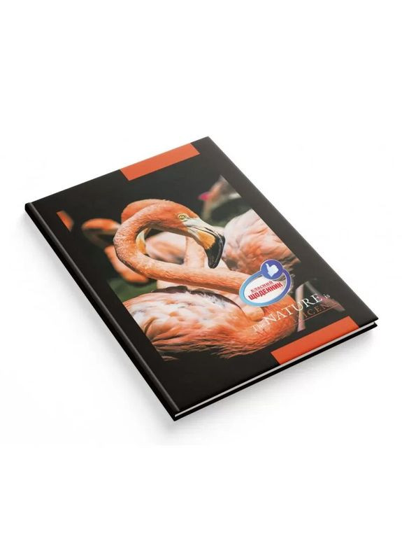 Дневник школьный Классный тв.обкл./1В2641/80стр.Фламинго (2000989907756)(SC) shop (2000989907756) Аркуш (354396214)