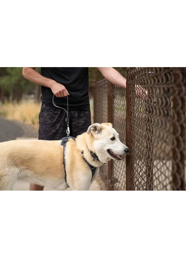 Короткий поводок для собак Front RangeTM Серый Ruffwear (388399611)