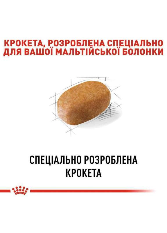 Сухий корм Maltese Adult для дорослих собак породи Мальтійська болонка у віці від 10 місяців 0,5 кг Royal Canin (364357223)