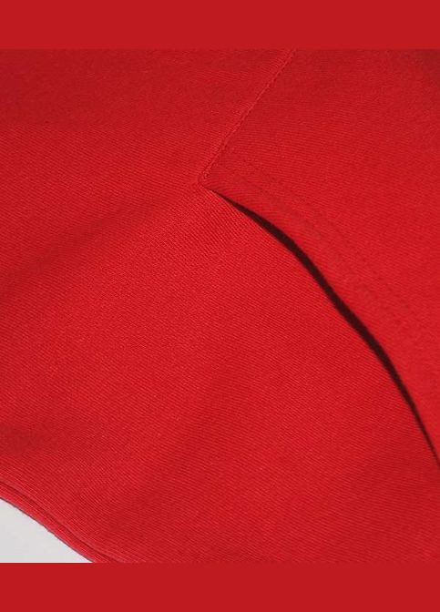 Толстовка жіноча Premium hooded sweat jacket lady-fit (062118040XS) Fruit of the Loom (311607402)