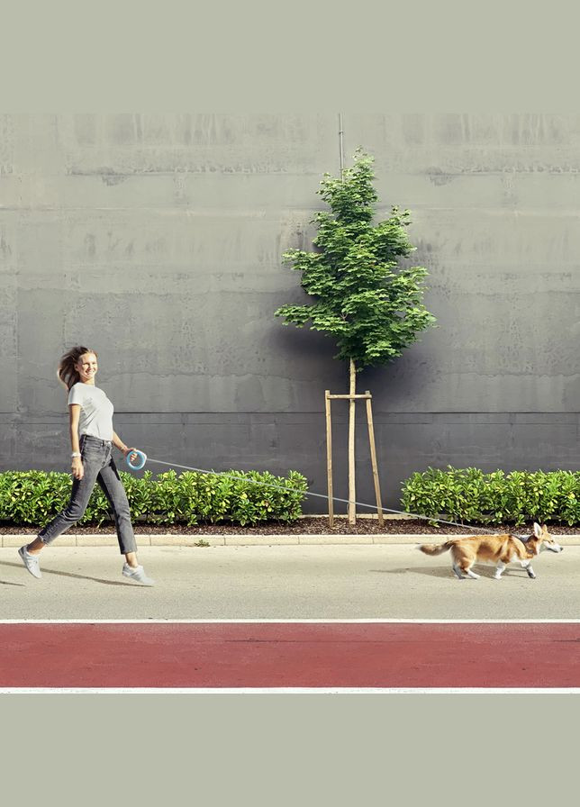 Повідець-рулетка для собак R-leash, кругла,, до 40 кг, 2,9 м, світловідбиваюча стрічка блакитний WAUDOG (323487120)