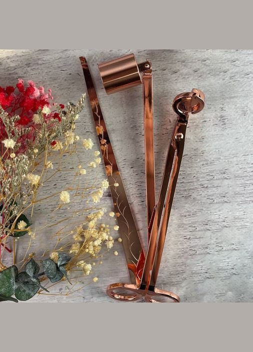 Набір аксесуарів для свічок (бронзовий) No Brand (322347145)