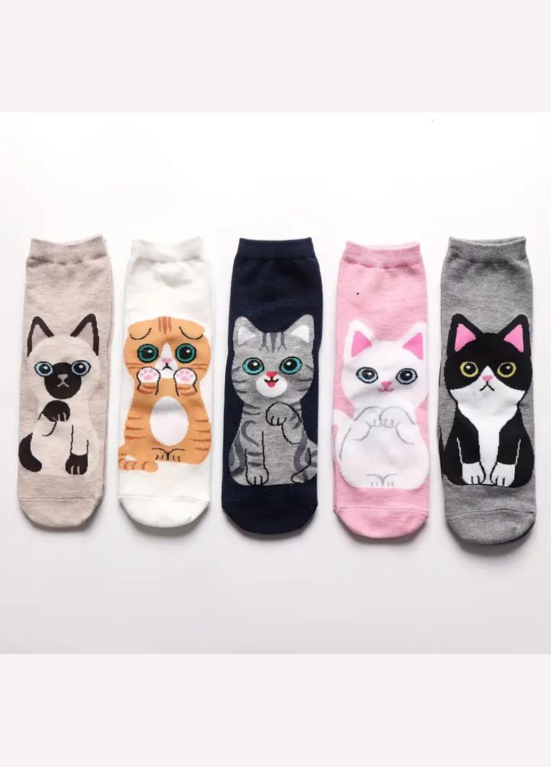 Комбинированные набор цветних носков с котиками 5 пар, с антибактериальной защитой от запаха. 36-41 размер. (315729601)