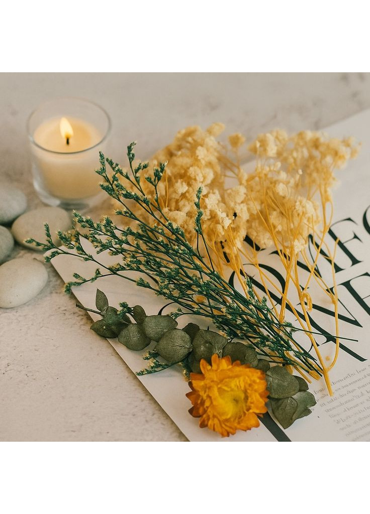 Белые сухие цветы для декора No Brand (322347664)