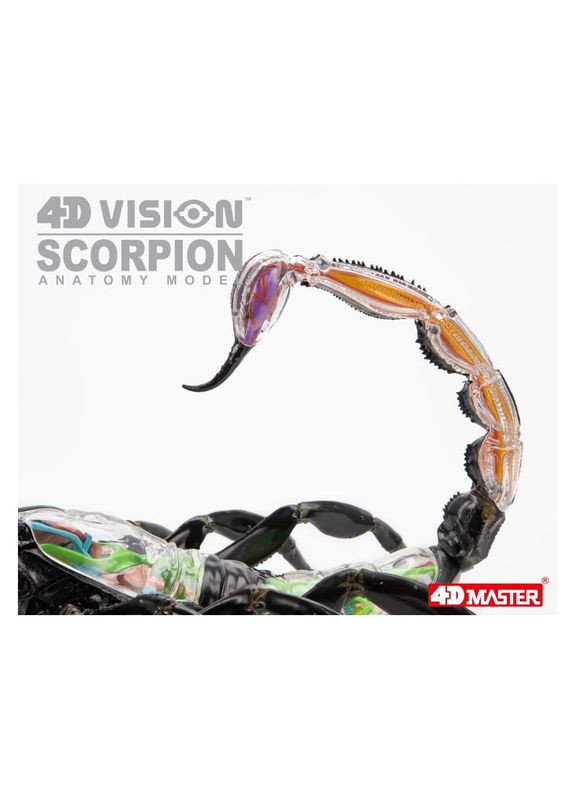 Об'ємна модель Скорпіон, 29 деталей () 4D Master FM-622033 (328394308)
