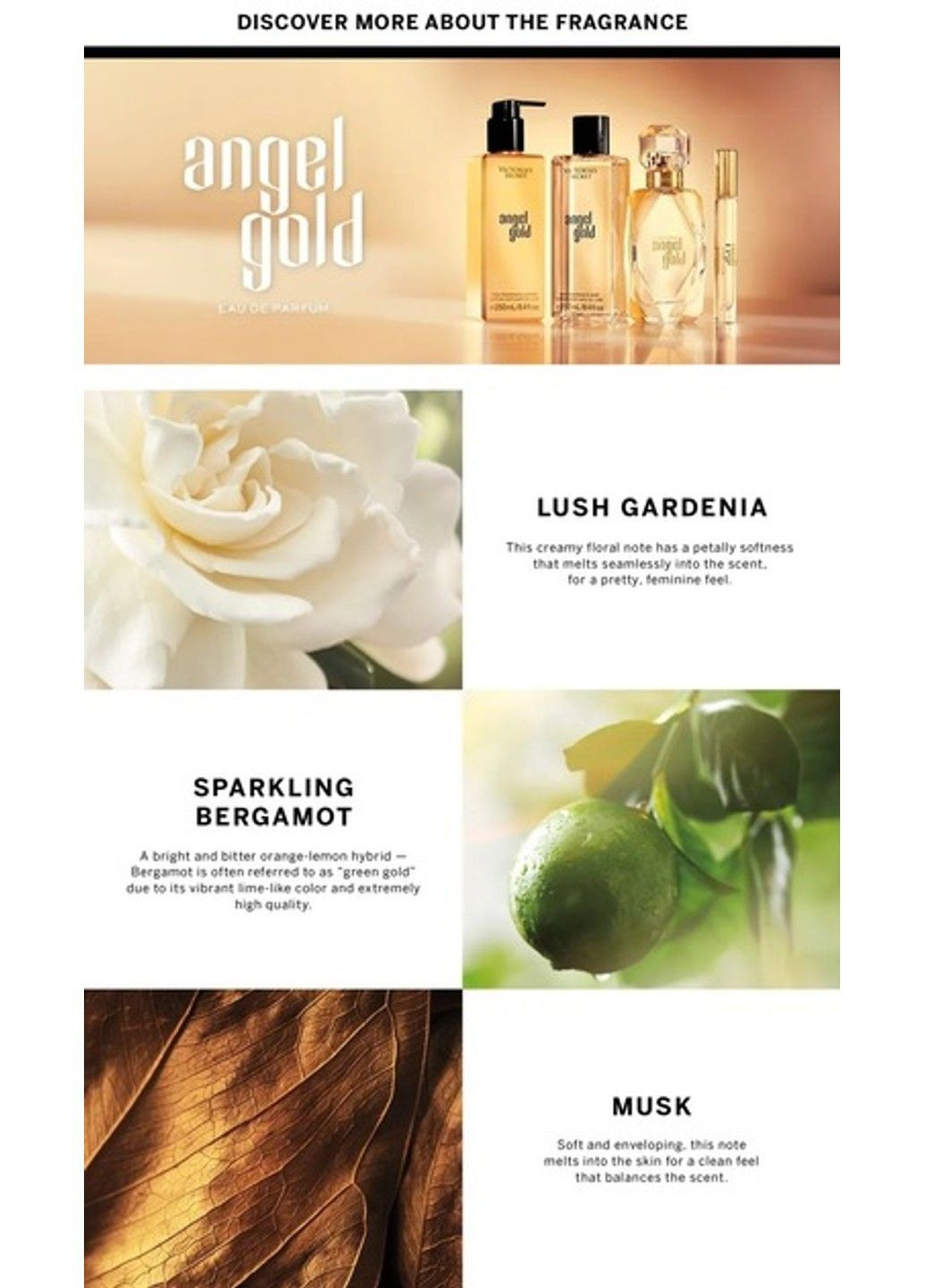 Парфюм Angel Gold Eau de Parfum Victoria's Secret (369741211)