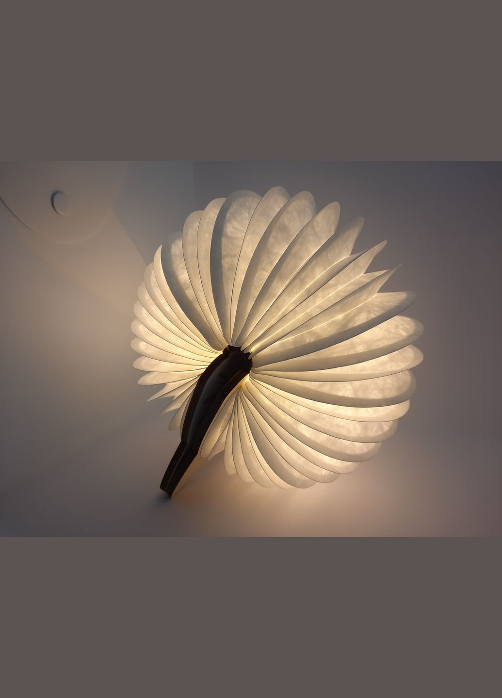 Светильник-книга Кошечка BL06 Дерево 5 цветов свечения Foldable Book Lamp Cat VHG (337174933)