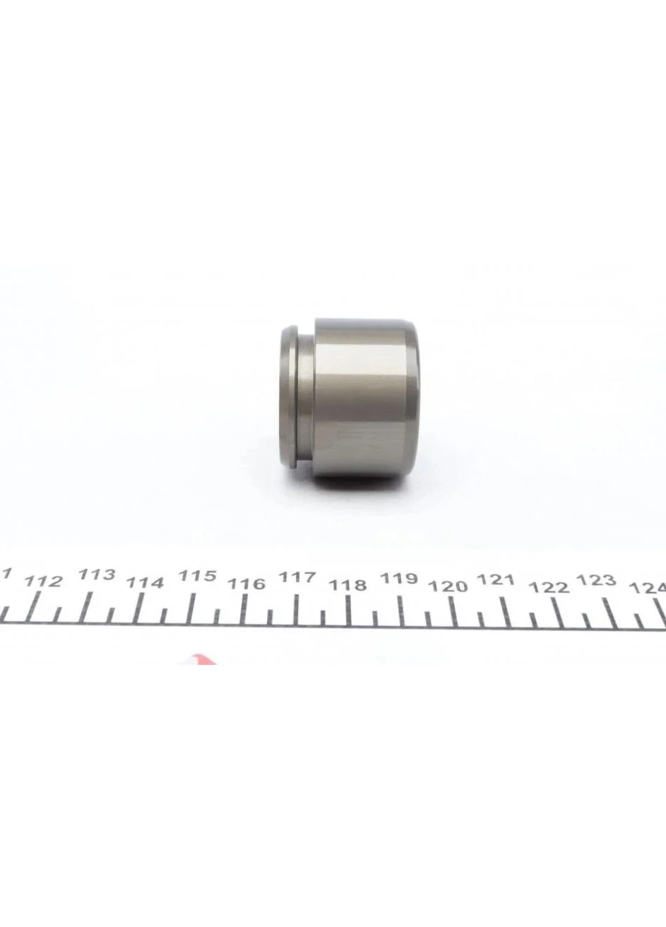 Поршень супорта (заднього) BMW 3 (E90-E93) 06-13/VW Touareg 10-18 (36x30) (Brembo) P363004 UA63 No Brand (339654203)