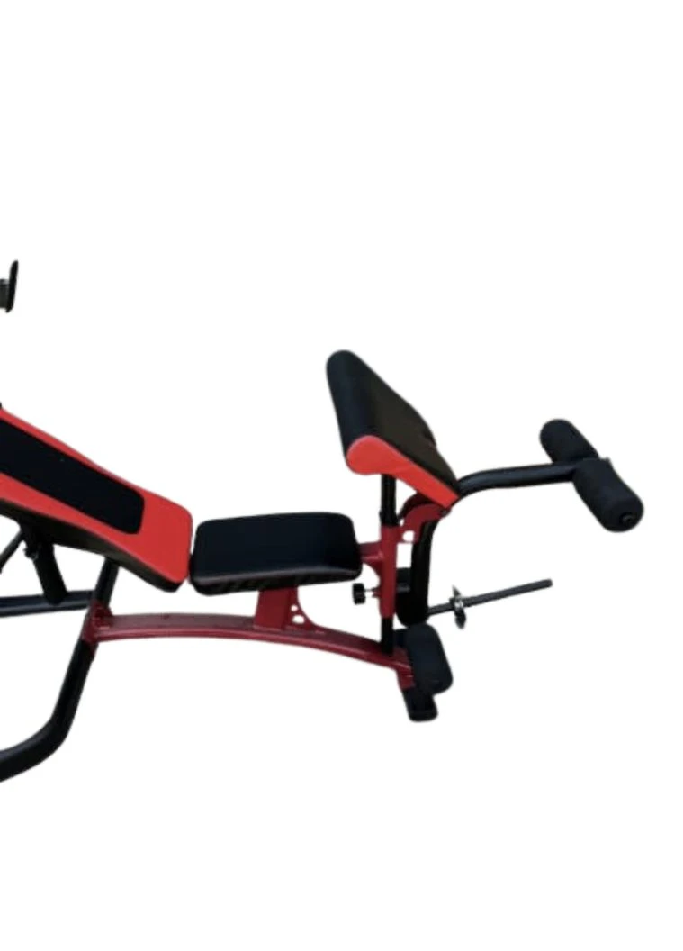 Скамейка для жима Delta Pro 2000 со стойкой для штанги и партой Скотта York Fitness (301865572)