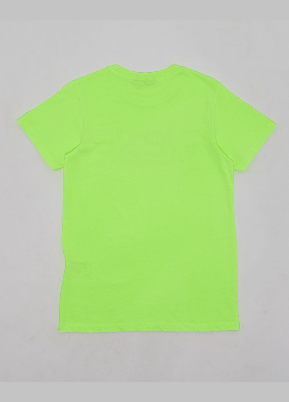 Салатова футболка basic,салатовий з принтом, Wesc