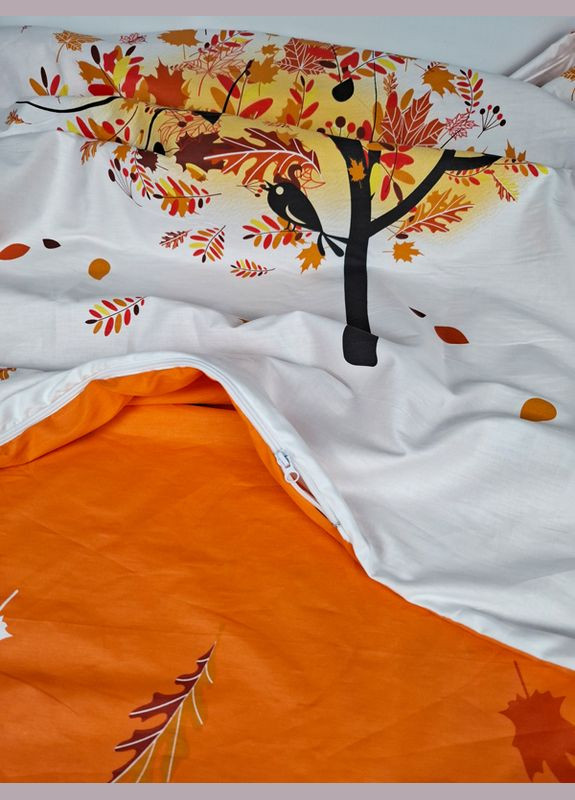 Комлект постільної білизни, полуторний, сатин Кондор (316219702)