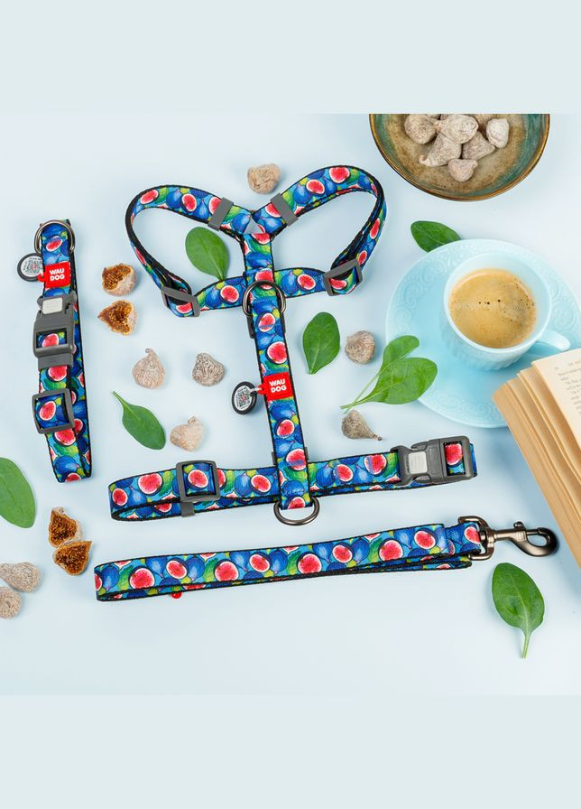 Нашийник для собак нейлоновий Nylon c QR паспортом, малюнок "Інжир", XL, Ш 25 мм, Дл 37-58 см WAUDOG (330636285)