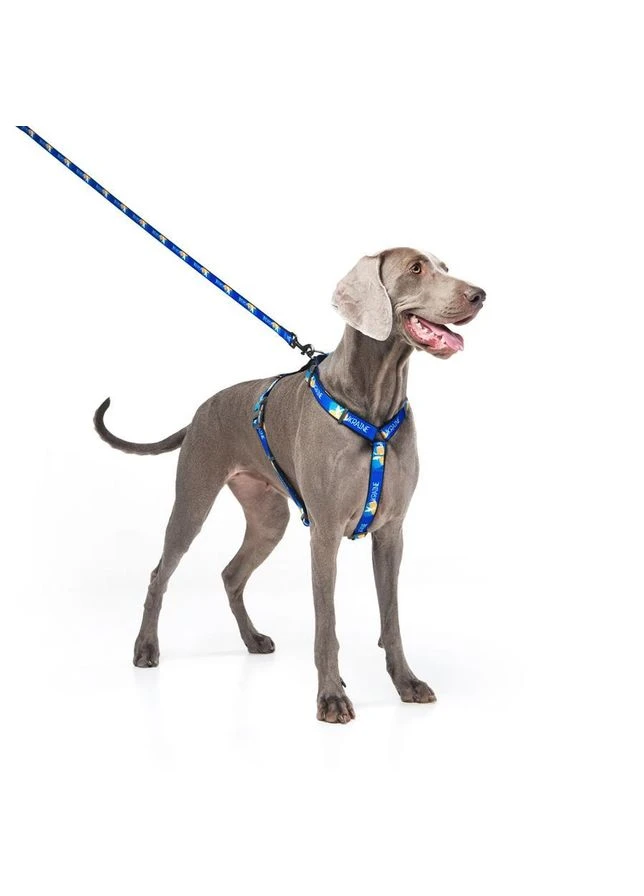 Поводок для собак нейлоновый WAUDOG Nylon рисунок "Прапор", размер, Ш 25 мм, Дл 122 cмLR Collar (388399075)