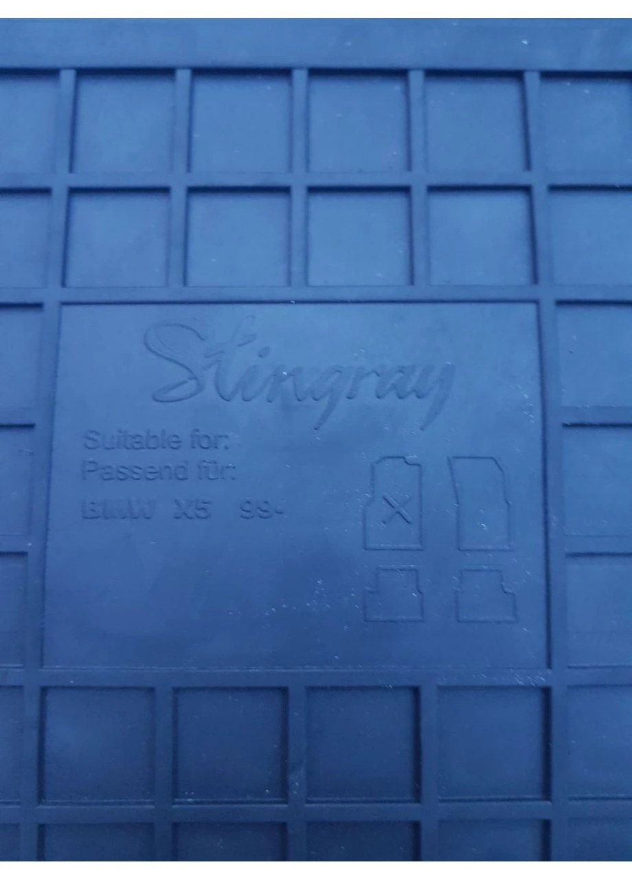 Гумові килимки в салон BMW E53 (1999-2005) Stingray X5 (398174915)