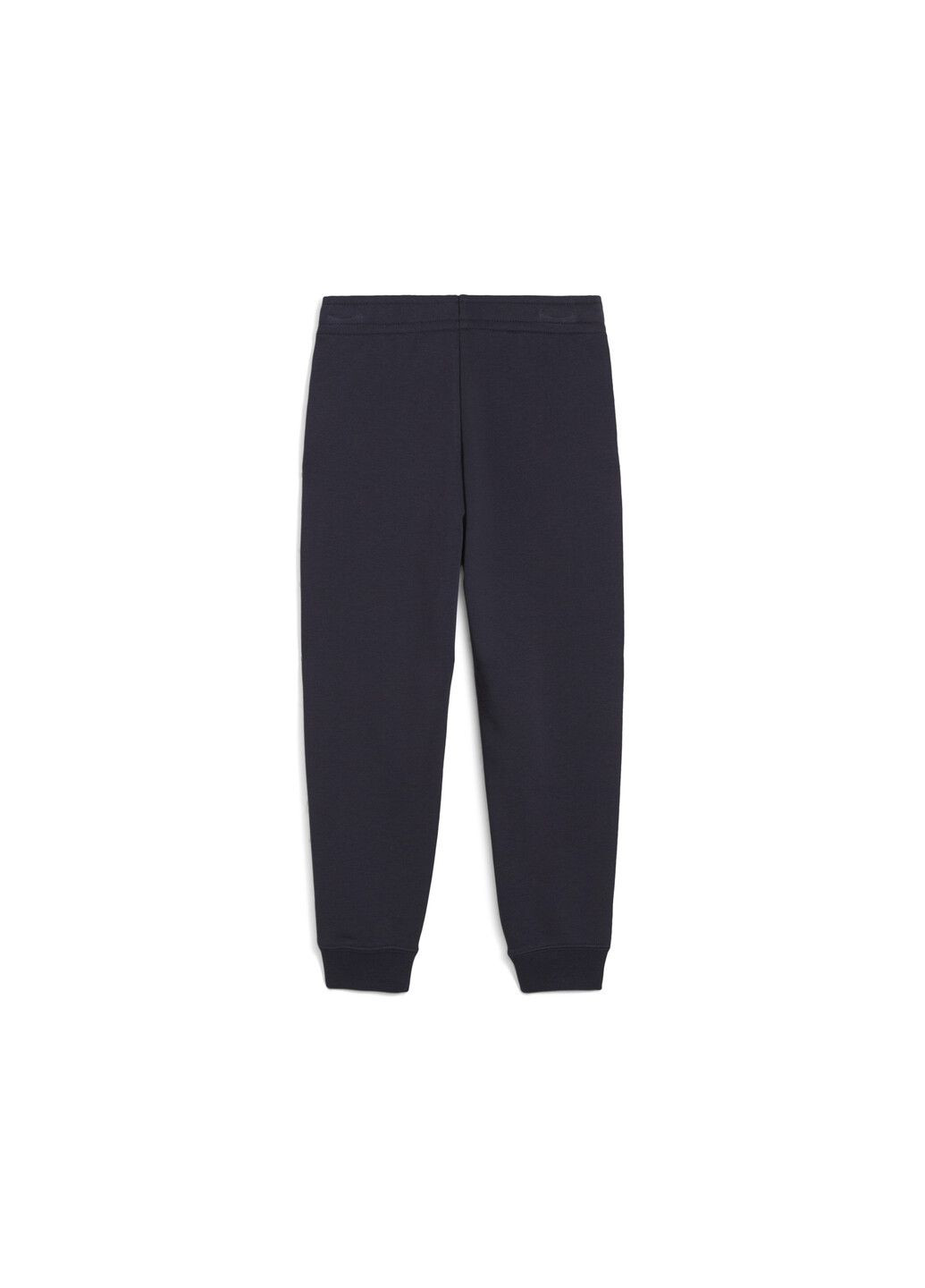 Синие спортивные демисезонные брюки Puma