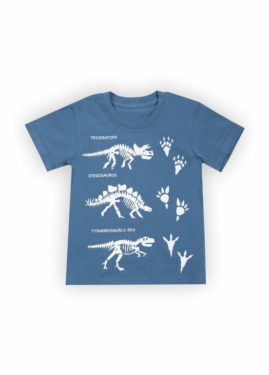 Синя літня дитяча футболка для хлопчика ft-24-11 Габби