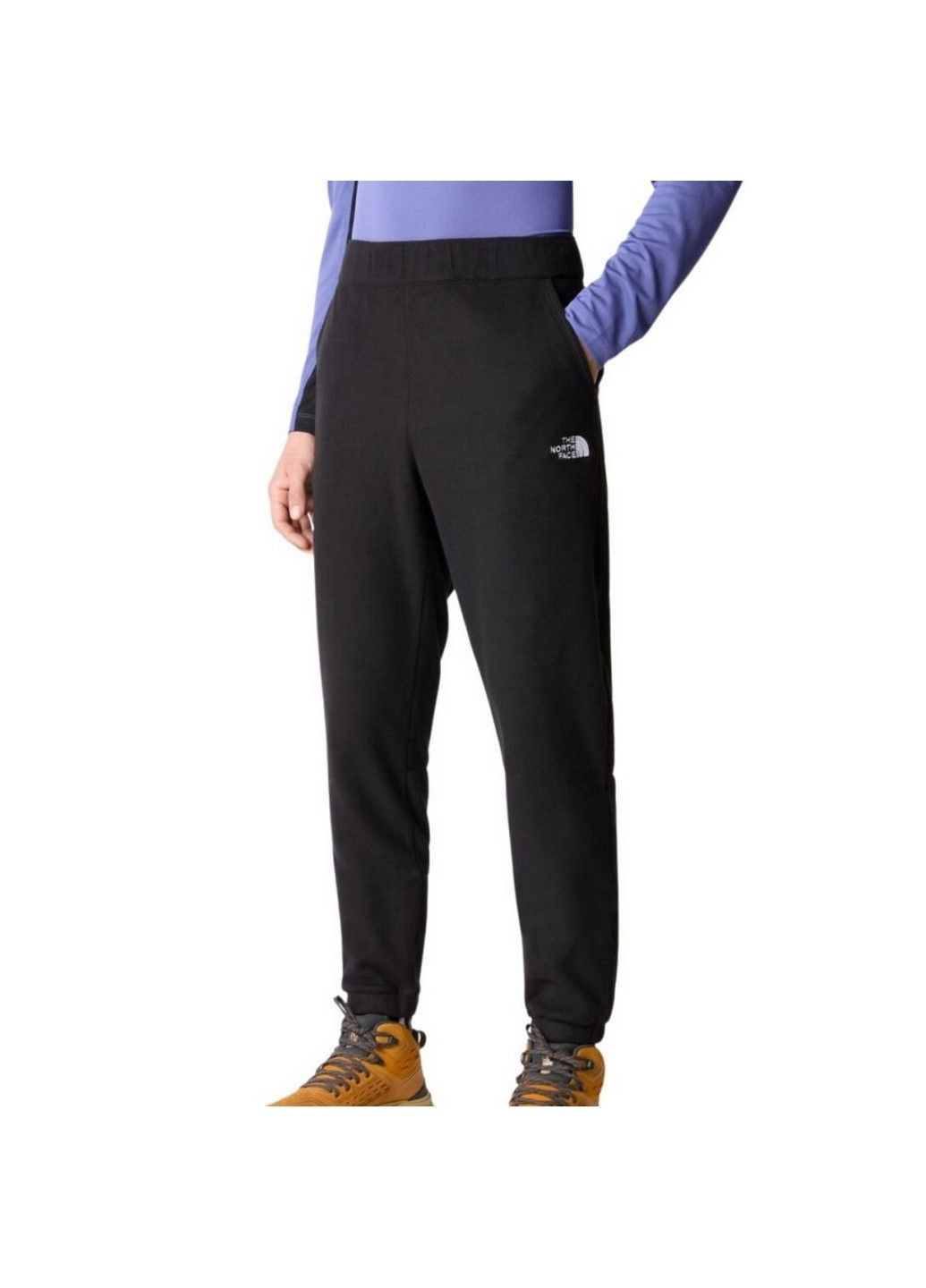 Штани M 100 GLACIER PANT NF0A8561JK31 The North Face (285794645)