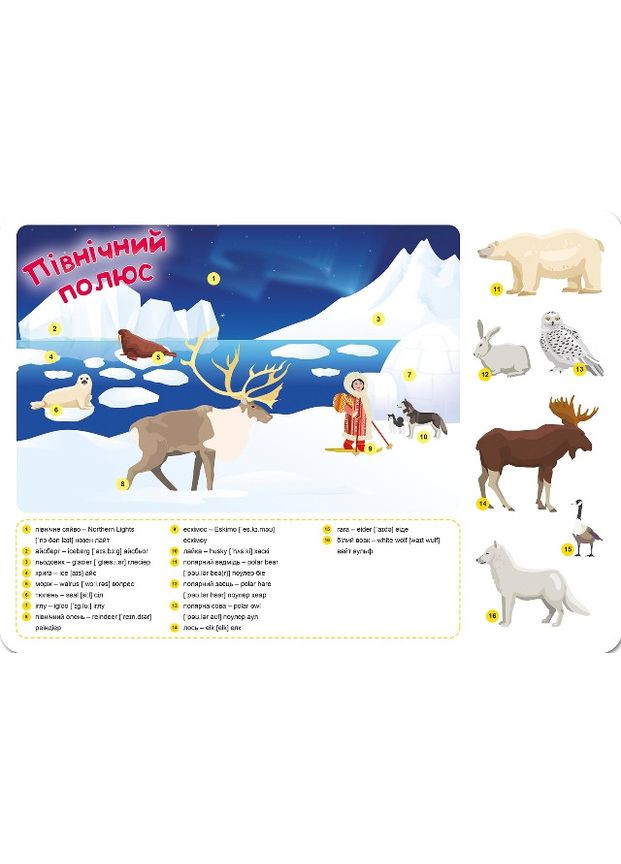 Книга детская учебник с наклейками "Funny English. Северный полюс" (05049) Торсінг (362434122)