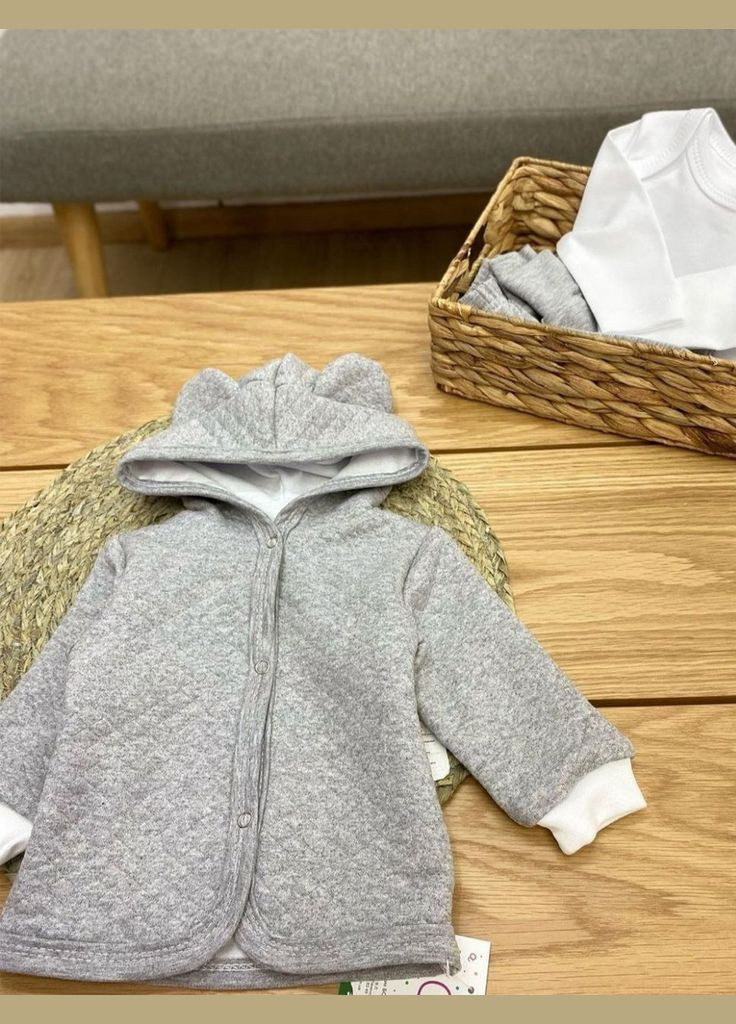 Сірий демісезонний комплект одягу для немовлят Баранчик БО