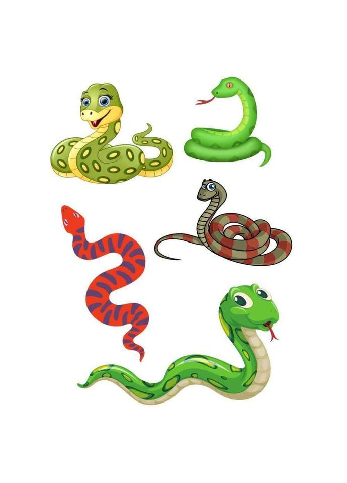 Временная татуировка Змейки Ink-Ok 74634927, 5 картинок No Brand (330600888)