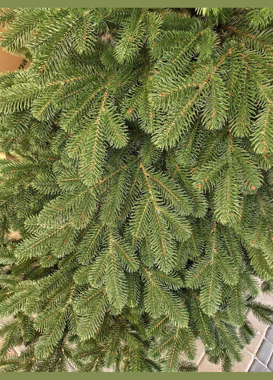 Елка литая "Элитная" - 300 см No Brand (307827527)