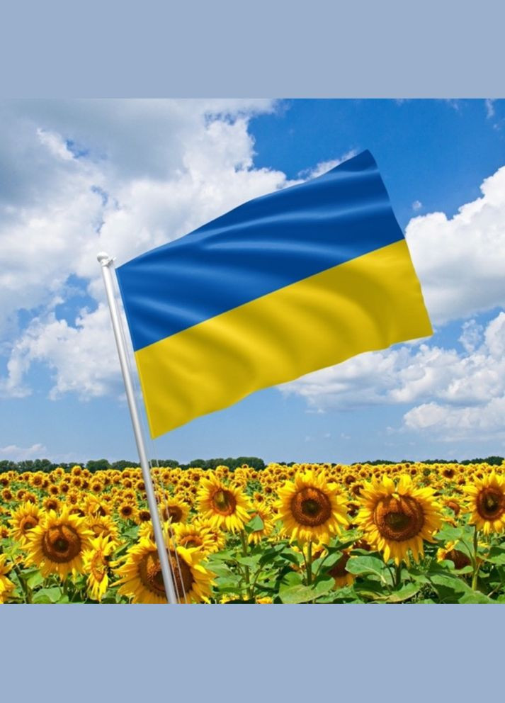 Флаг Украины 0,9*1,4 м IDEIA (275869827)
