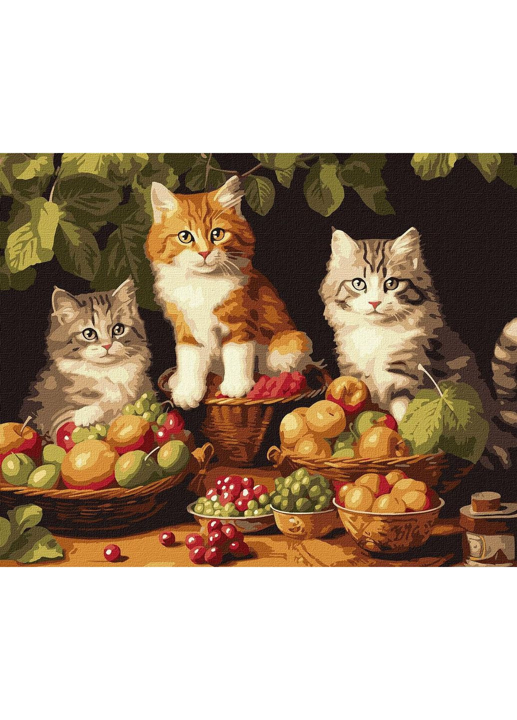 Картина за номерами Котики і фрукти 40 х 50 Ідейка KHO6586 IDEYKA (361292844)