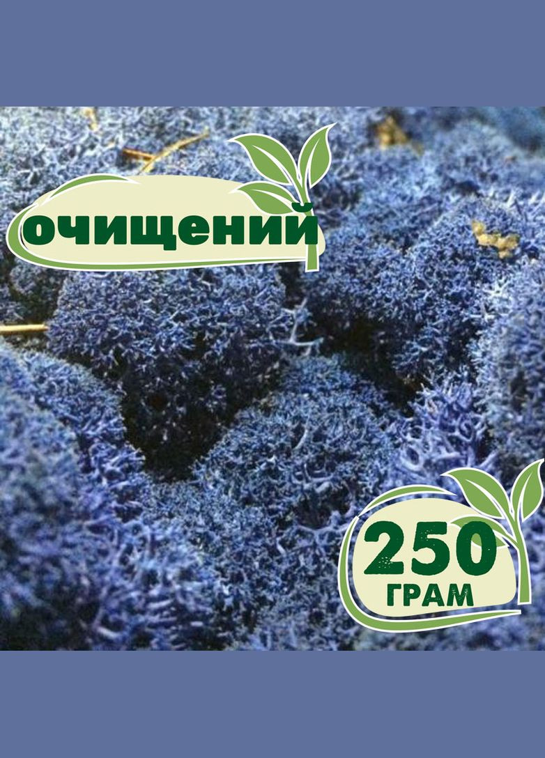 Очищенный стабилизированный мох ягель Синий лазурный 250 грамм Nordic moss (276401045)